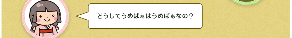 どうしてうめばぁはうめばぁなの？